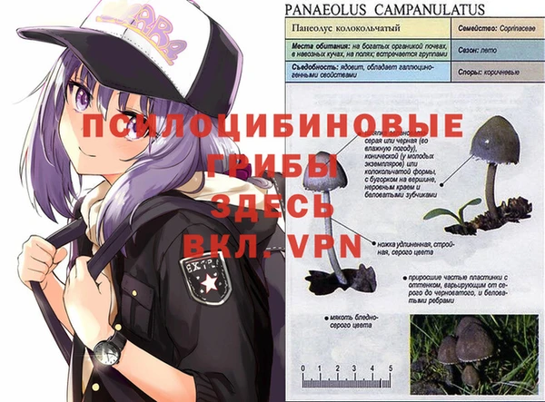 герыч Алексеевка