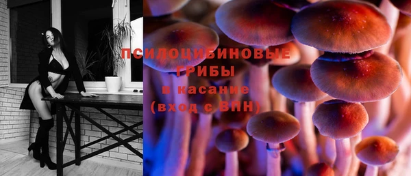 эйфоретик Кинешма