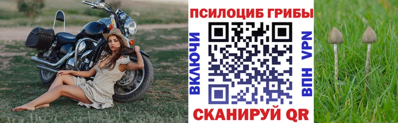 Галлюциногенные грибы MAGIC MUSHROOMS  нарко площадка как зайти  Калязин 
